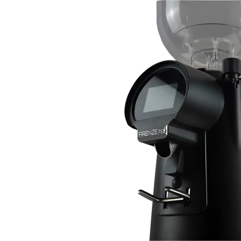 Eureka Grinder Electric Firenze 75