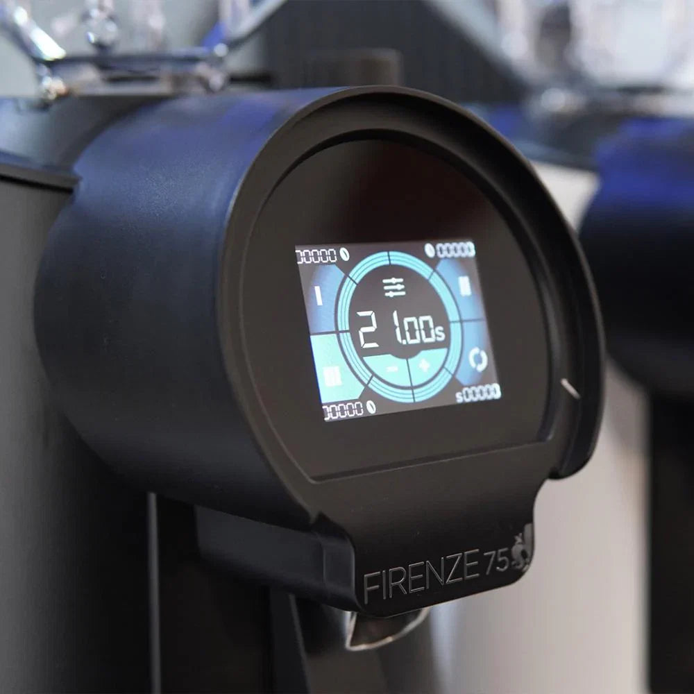 Eureka Grinder Electric Firenze 75